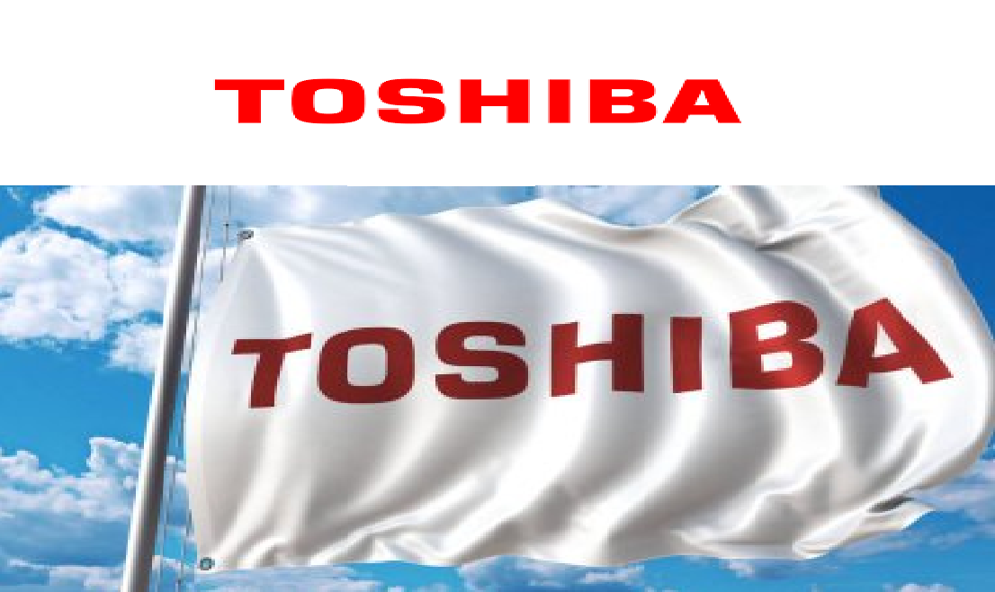 İzmir Menderes Toshiba Kombi Klima Servisi